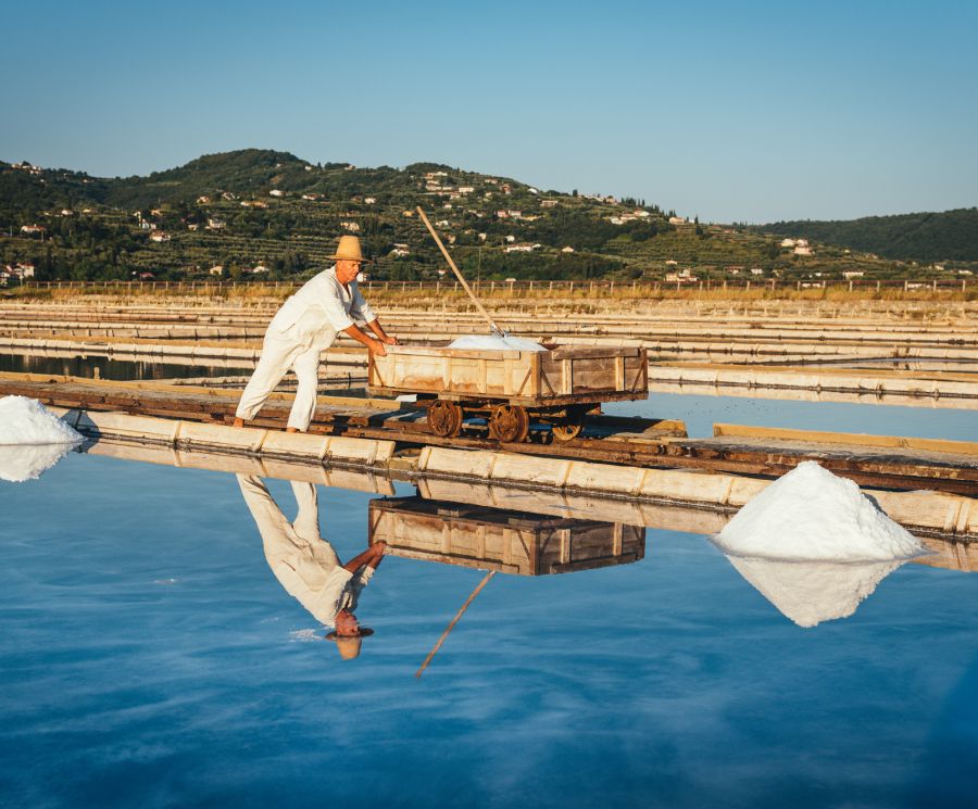 Sečovlje Salina